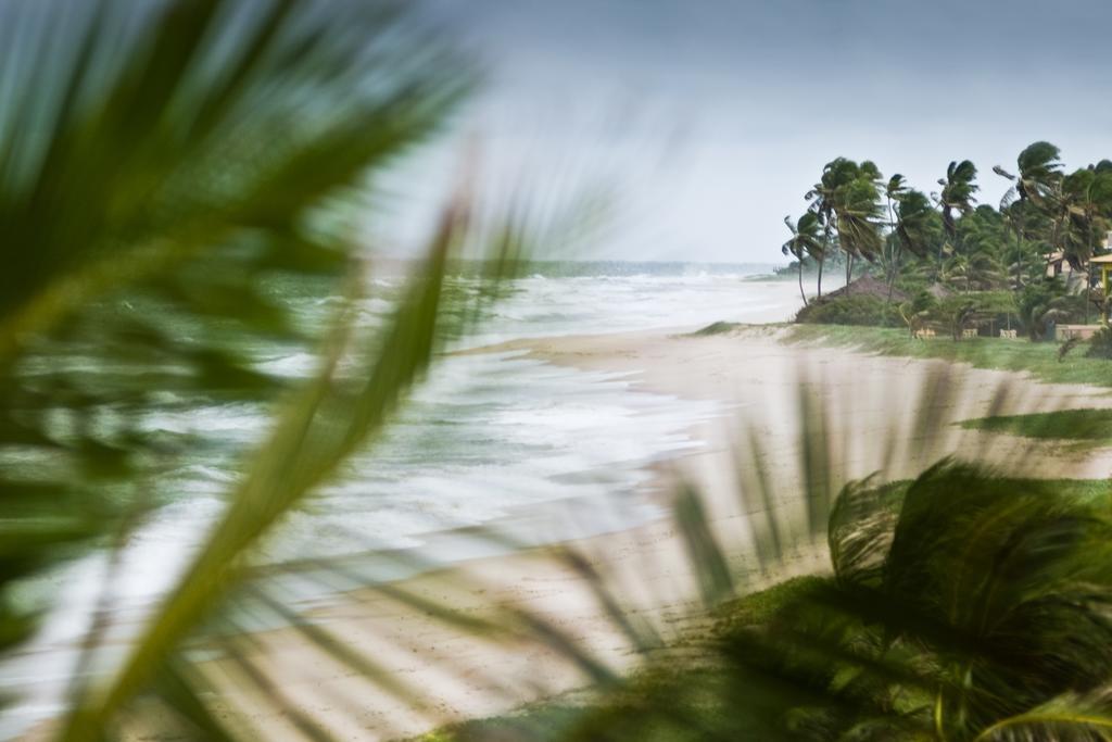 Oyo Hotel Arembepe Beach Hotel, Camacari Экстерьер фото